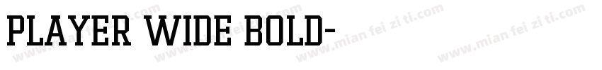 Player Wide Bold字体转换